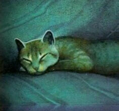 leafpool